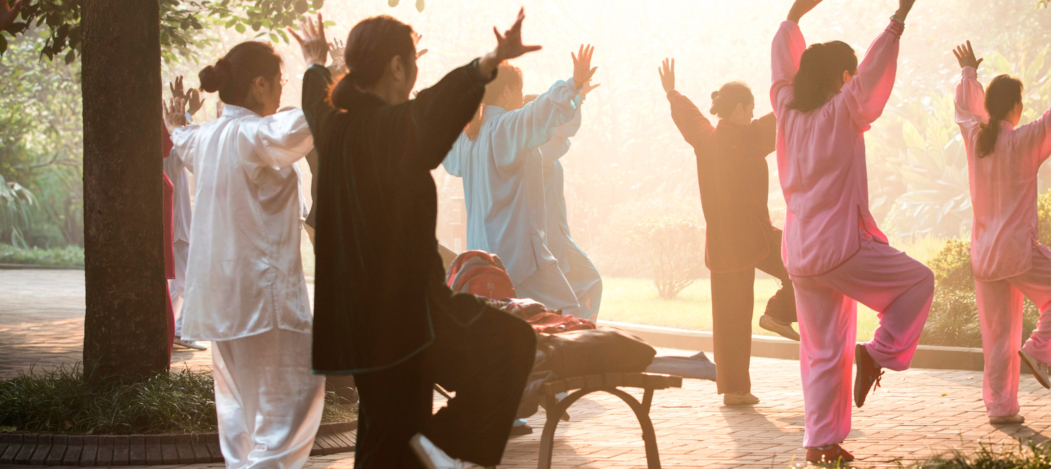 Sommerakademie für Taijiquan und Qigong 2015,